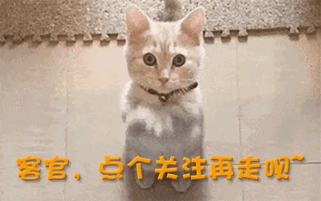 /www/bananadaily.net/web/images/image/2230/22309909.avif
