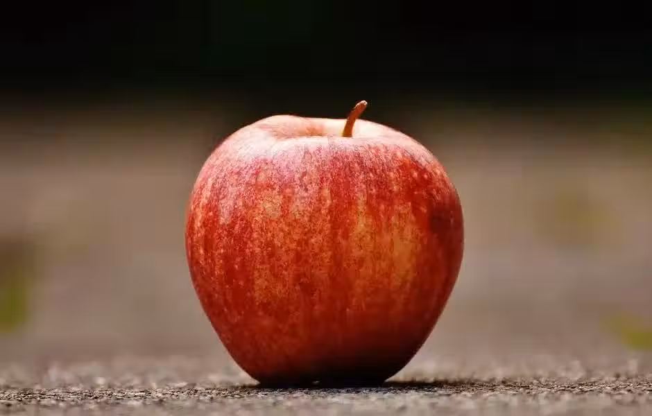 /www/bananadaily.net/web/images/image/2254/22545052.avif
