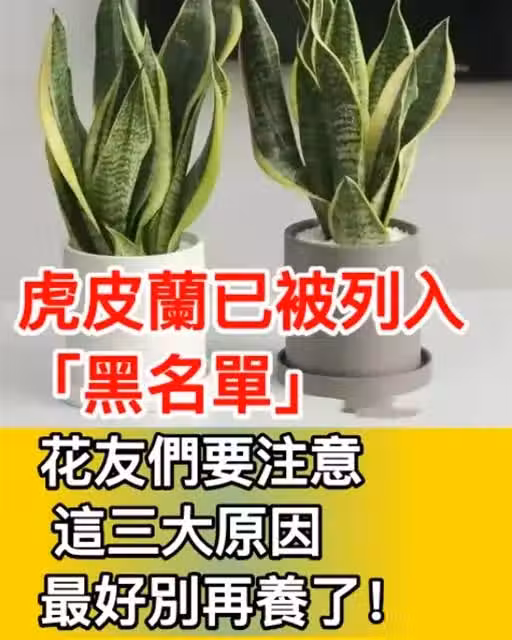/www/bananadaily.net/web/images/image/2255/22559345.avif