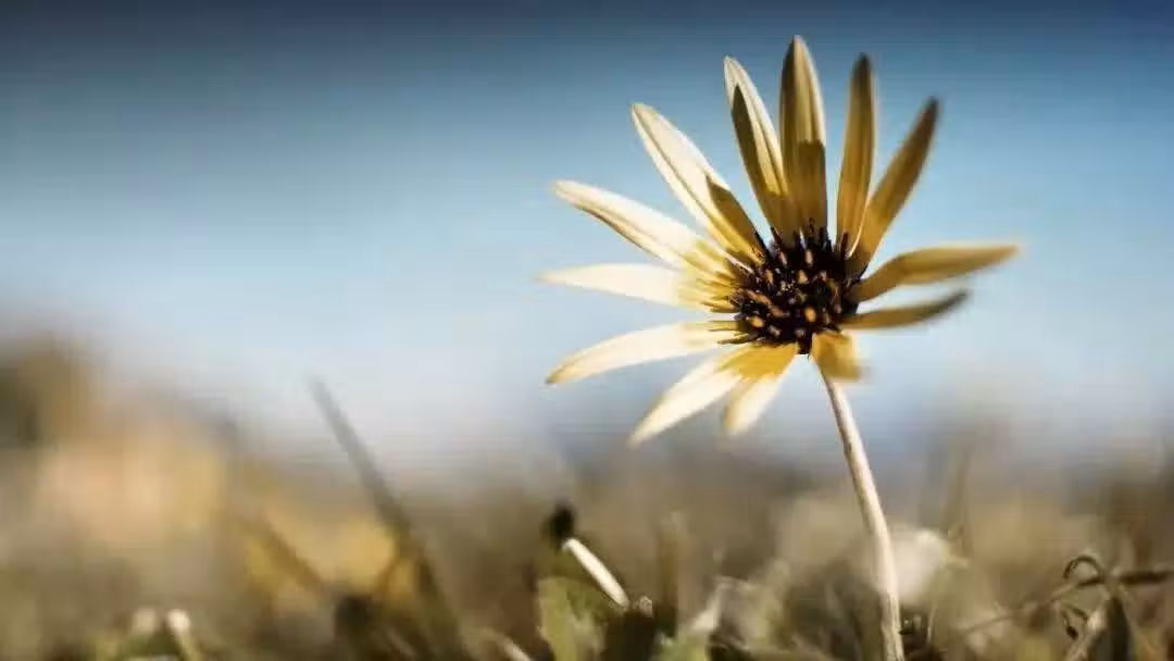 /www/bananadaily.net/web/images/image/2257/22576863.avif