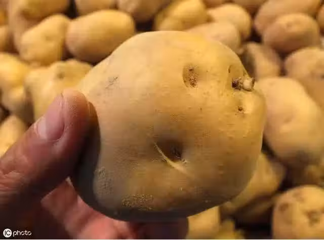/www/bananadaily.net/web/images/image/2258/22587326.avif