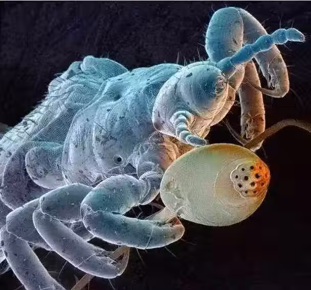 /www/bananadaily.net/web/images/image/2263/22638078.avif