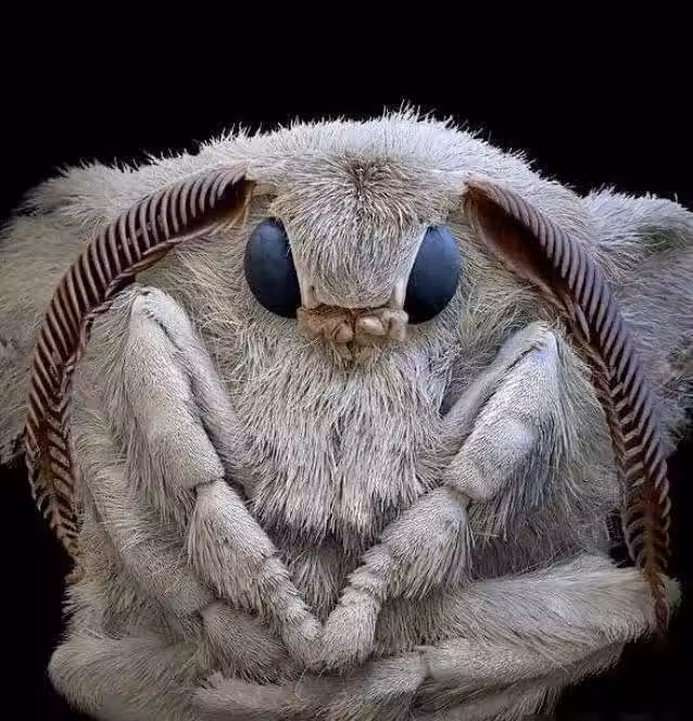 /www/bananadaily.net/web/images/image/2263/22638094.avif