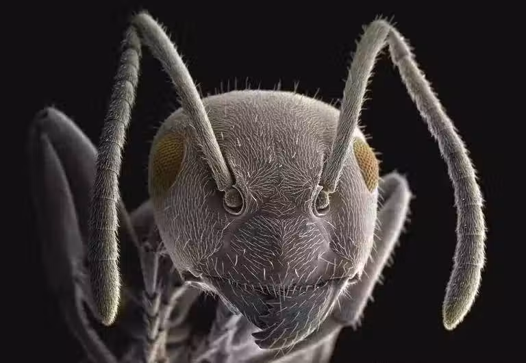 /www/bananadaily.net/web/images/image/2263/22638097.avif