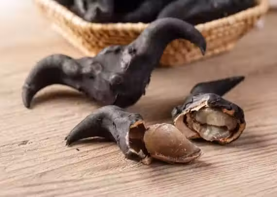 /www/bananadaily.net/web/images/image/2273/22736780.avif