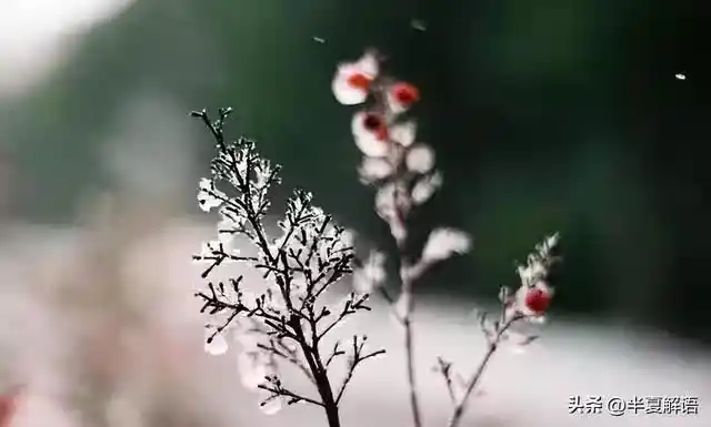 /www/bananadaily.net/web/images/image/2274/22749240.avif