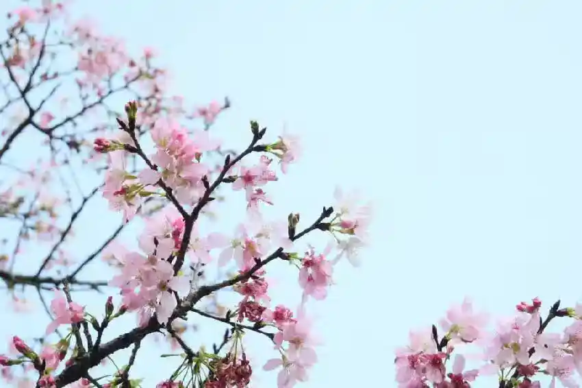/www/bananadaily.net/web/images/image/2275/22750611.avif