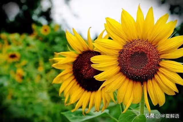 /www/bananadaily.net/web/images/image/2280/22806156.avif